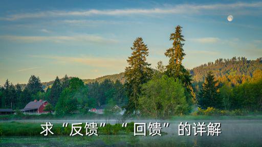 回饋是什么意思,回饋與反饋