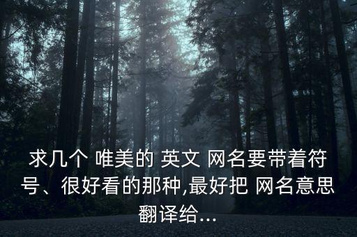 求幾個(gè) 唯美的 英文 網(wǎng)名要帶著符號(hào)、很好看的那種,最好把 網(wǎng)名意思翻譯給...