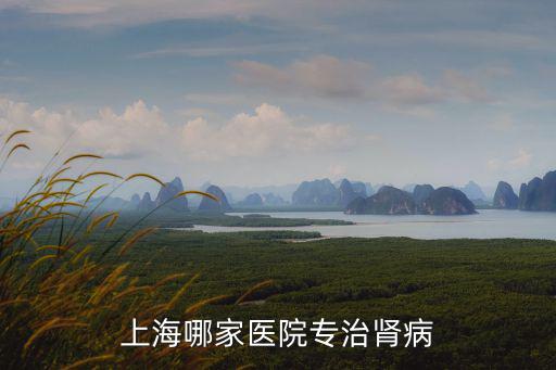 上海腎內科醫院排名前十名醫生，上海哪家醫院專治腎病
