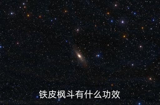 鐵皮楓斗功效，鐵皮楓斗有什么功效