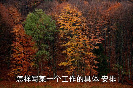 怎樣寫某一個工作的具體 安排