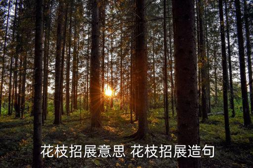  花枝招展意思 花枝招展造句