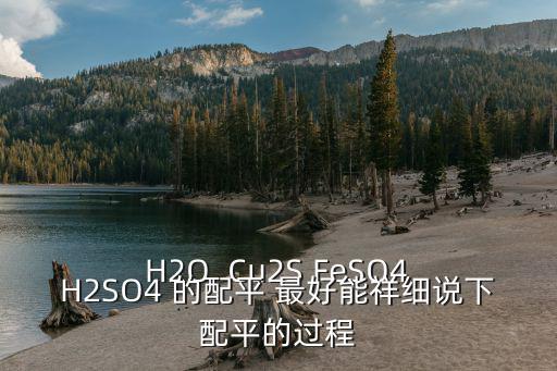  H2O  Cu2S FeSO4 H2SO4 的配平 最好能祥細說下配平的過程