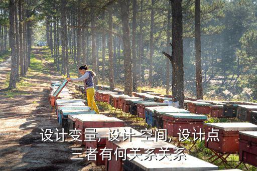  設計變量, 設計 空間, 設計點三者有何關系關系