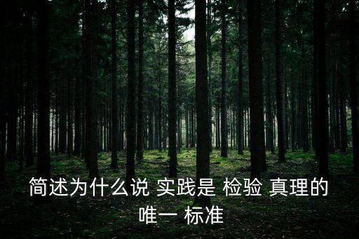 簡述為什么說 實踐是 檢驗 真理的 唯一 標準