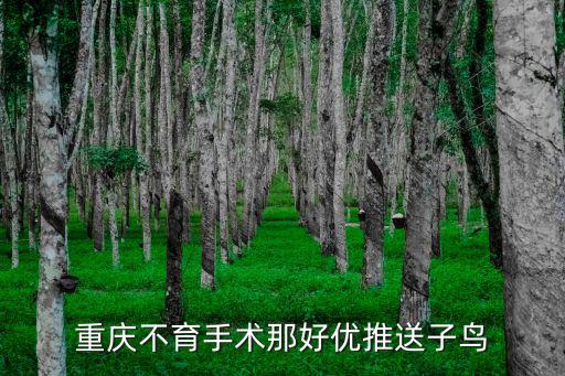 重慶市不孕認定送子鳥，重慶看不孕不育那個好預定送子鳥