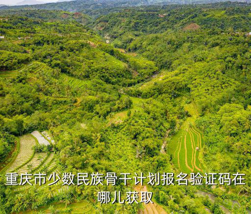 重慶市少數民族骨干計劃報名驗證碼在哪兒獲取