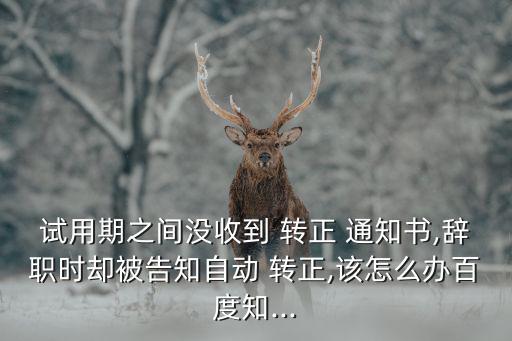 轉正通知書,試用期不得超過一個月勞動合同期限三個月以上