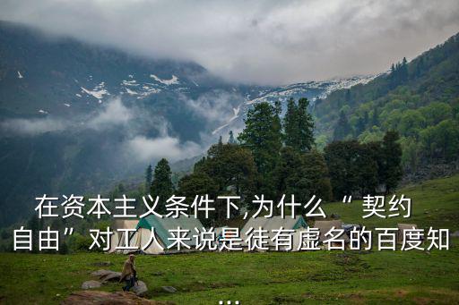 在資本主義條件下,為什么“ 契約 自由”對工人來說是徒有虛名的百度知...