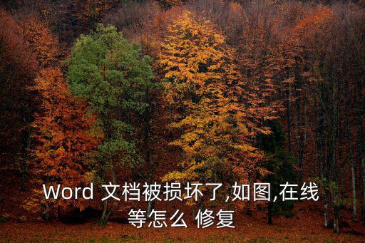文檔修復,怎么恢復文件?!