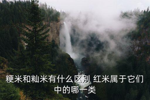 粳米和秈米有什么區別 紅米屬于它們中的哪一類
