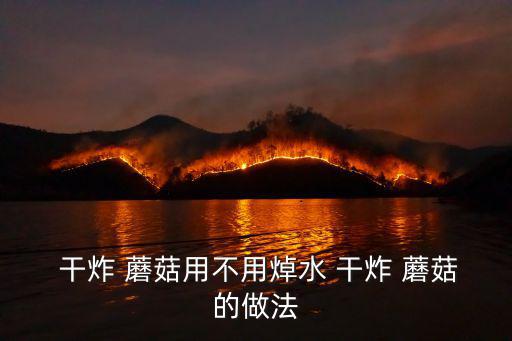 干炸蘑菇,干炸蘑菇怎么做?