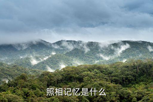 照相記憶是什么