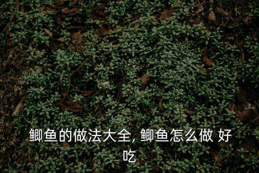  鯽魚的做法大全, 鯽魚怎么做 好吃