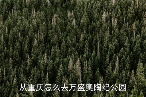 從重慶怎么去萬盛奧陶紀(jì)公園