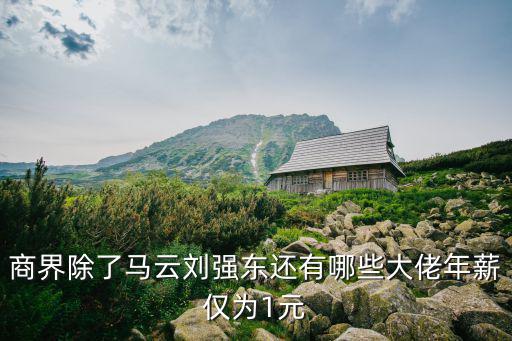商界除了馬云劉強東還有哪些大佬年薪僅為1元