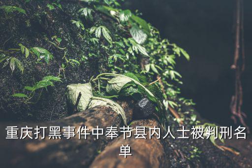 重慶市奉節縣黑老大，重慶打黑事件中奉節縣內人士被判刑名單