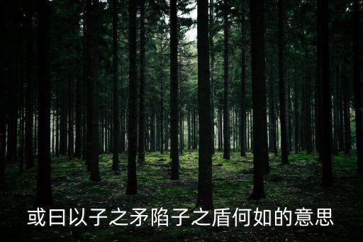 或曰以子之矛陷子之盾何如的意思