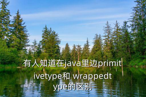 有人知道在java里邊primitivetype和 wrappedtype的區別