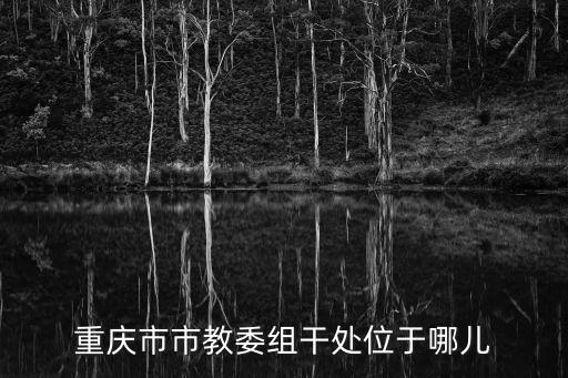 重慶市市教委組干處位于哪兒