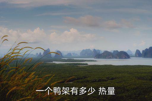 鴨翅熱量,研究:愛吃水果蔬菜的人每天平均少攝入卡路里熱量