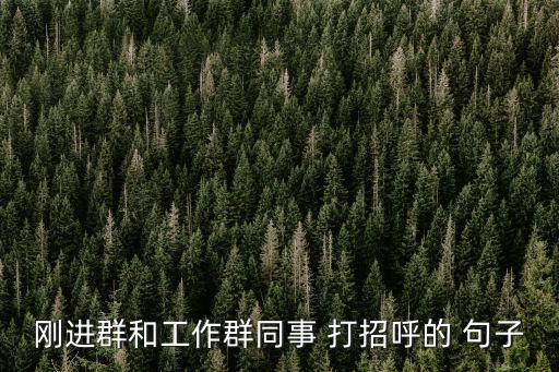 剛進(jìn)群和工作群同事 打招呼的 句子
