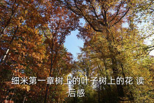  細(xì)米第一章樹上的葉子樹上的花 讀后感