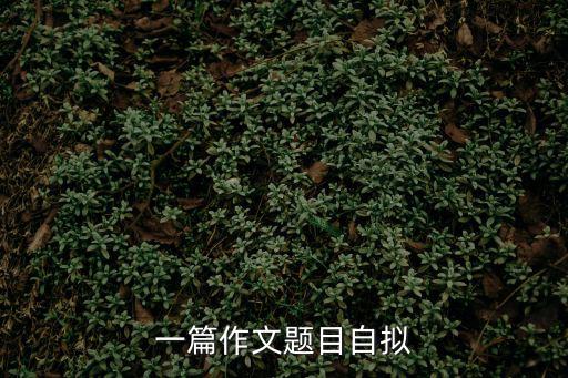 一篇作文題目自擬