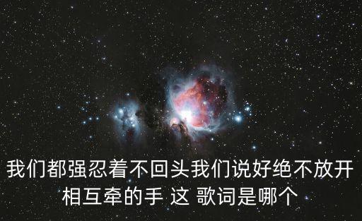 我們都強忍著不回頭我們說好絕不放開相互牽的手 這 歌詞是哪個
