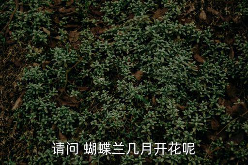 蝴蝶蘭花期,蝶蘭花不開的原因:溫度濕度、氣候、施肥等原因