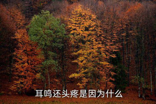  耳鳴還頭疼是因為什么
