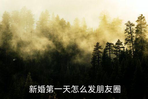 新婚圖片,車展出租車業(yè)者推出優(yōu)惠租金回扣