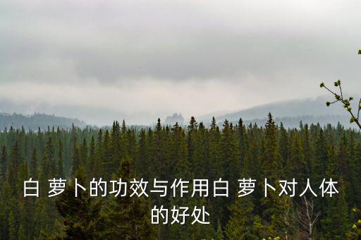 白 蘿卜的功效與作用白 蘿卜對人體的好處