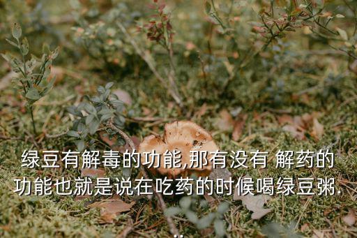 綠茶解藥嗎,中醫(yī):綠豆解毒效果好紅茶解酒效果差