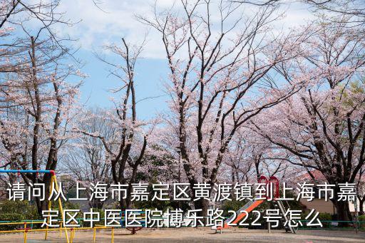 請問從上海市嘉定區黃渡鎮到上海市嘉定區中醫醫院博樂路222號怎么