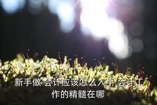 新手學會計,新加坡會計職位有望晉升到三位數