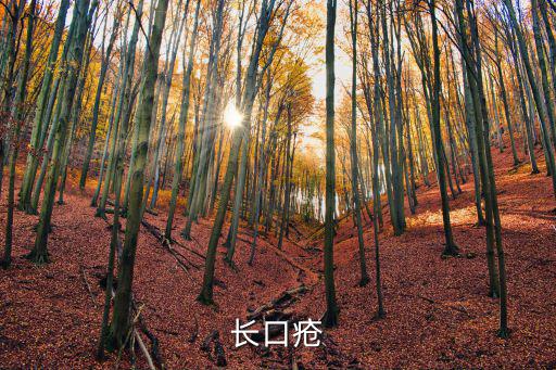 長口瘡