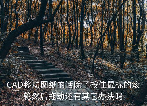 CAD移動圖紙的話除了按住鼠標的滾輪然后拖動還有其它辦法嗎