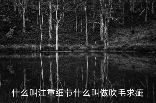 什么叫注重細節什么叫做吹毛求疵