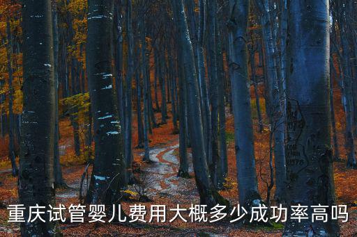 重慶試管嬰兒費用大概多少成功率高嗎