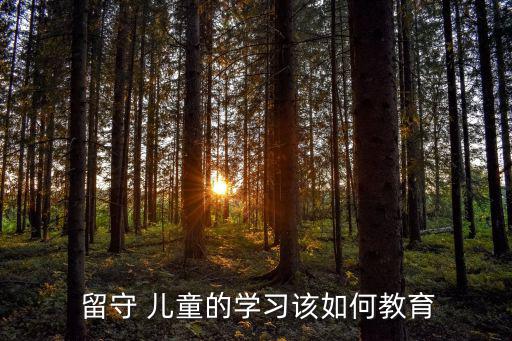 留守兒童幫扶計劃,學校密切關注現狀采取措施