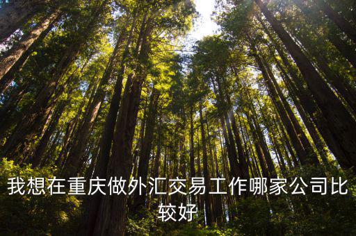 重慶市外匯交易合法嗎，重慶地方有人愿意做外匯投資嗎