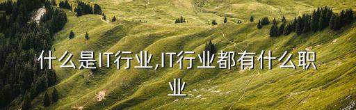 什么是IT行業(yè),IT行業(yè)都有什么職業(yè)