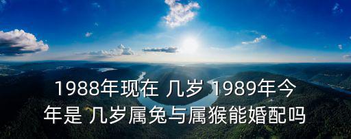 1988年現(xiàn)在 幾歲 1989年今年是 幾歲屬兔與屬猴能婚配嗎