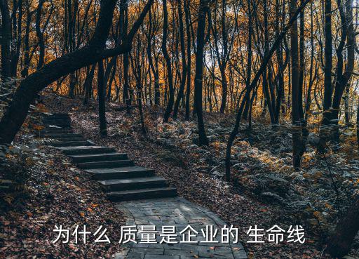 為什么 質量是企業的 生命線