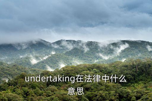 undertaking在法律中什么意思