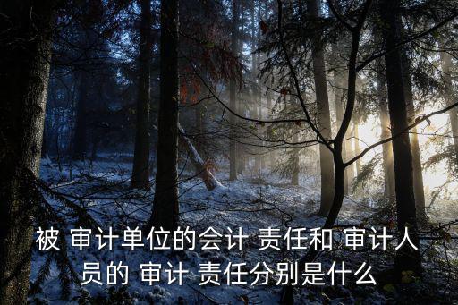 被 審計單位的會計 責任和 審計人員的 審計 責任分別是什么