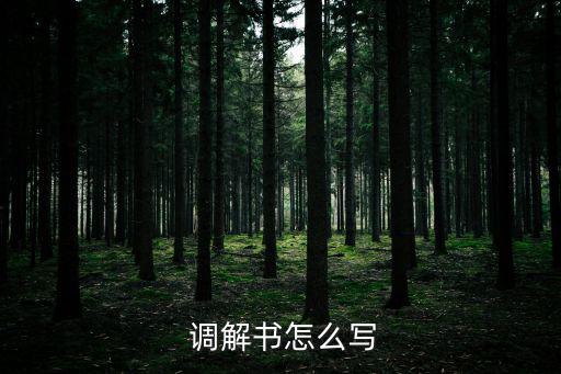  調(diào)解書(shū)怎么寫(xiě)