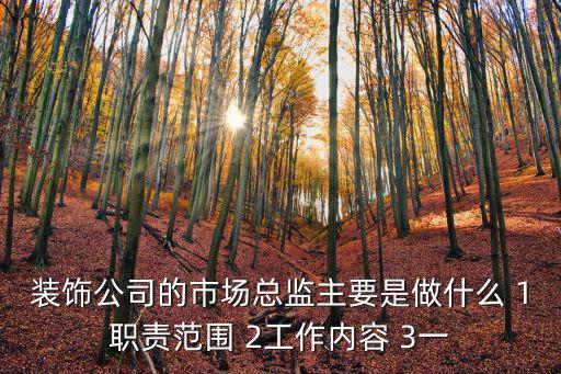 市場總監職責，裝飾公司的市場總監主要是做什么 1職責范圍 2工作內容 3一