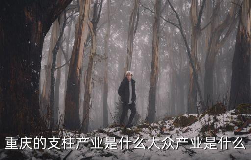 重慶的支柱產業是什么大眾產業是什么